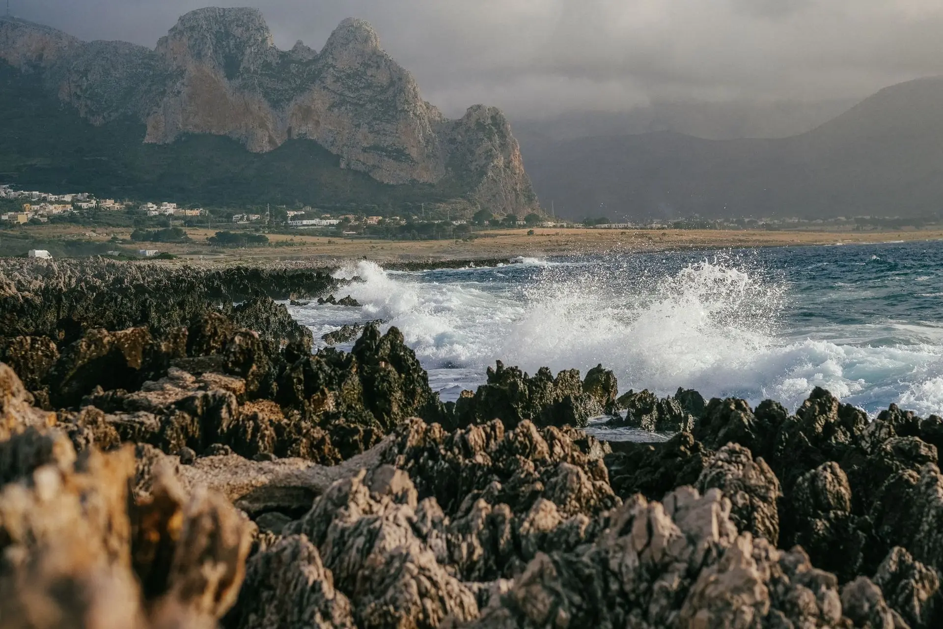 Fot. Aleksandra Bień