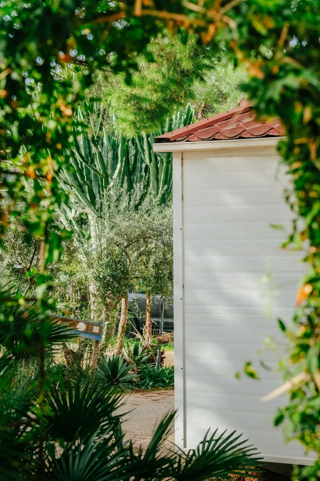 Fot. Aleksandra Bień