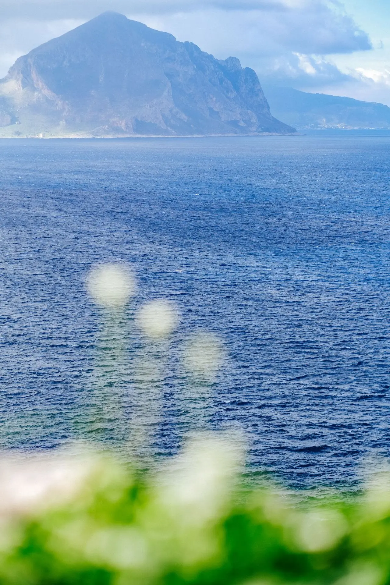 Fot. Aleksandra Bień